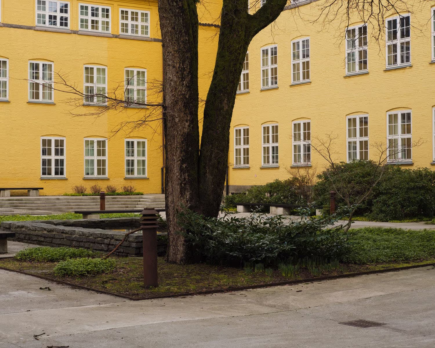 Sydneshaugen skole, Bergen. Foto: Torbjørn Sandbakk