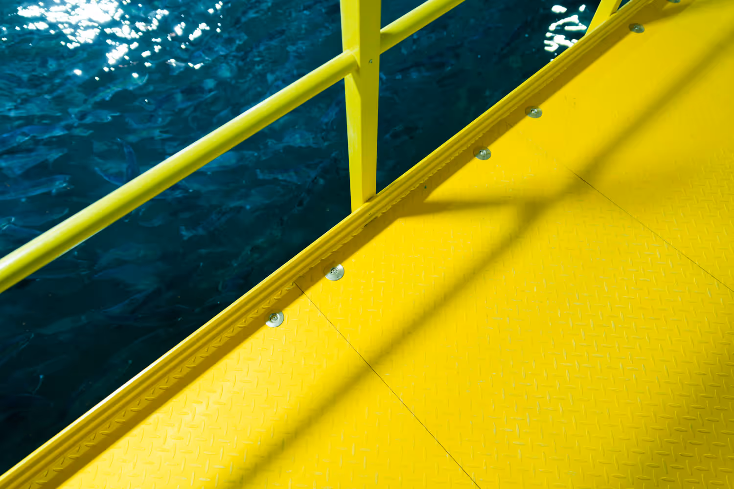 Artec Aqua aquaculture photography in Norway by Torbjørn Sandbakk, image 7.